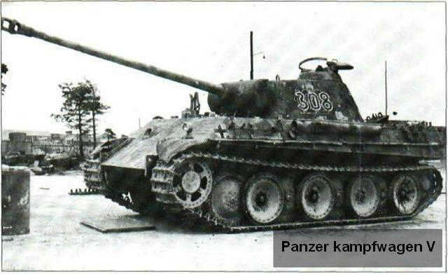 Panther.jpg